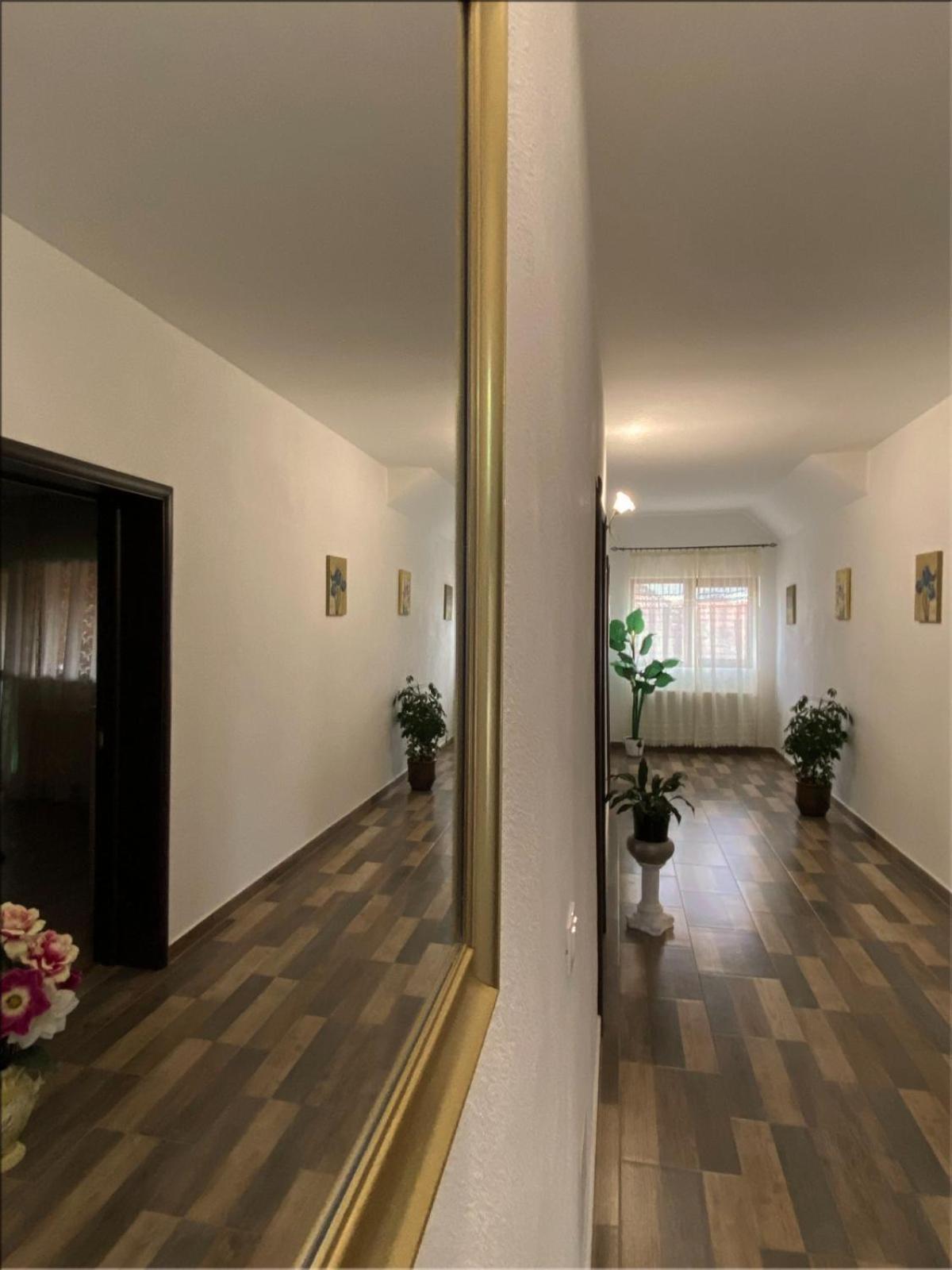 בית הארחה Dragus 	Casa Monica מראה חיצוני תמונה