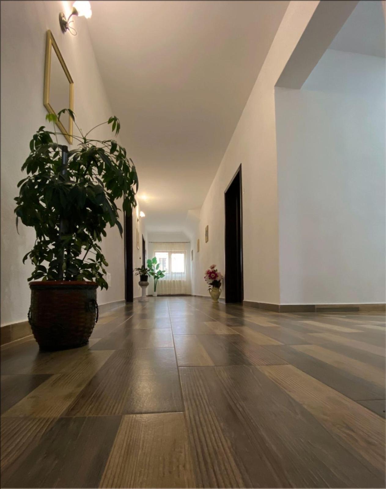 בית הארחה Dragus 	Casa Monica מראה חיצוני תמונה